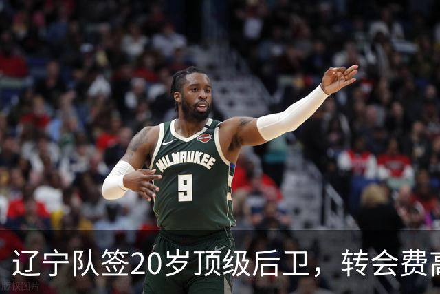 辽宁队签20岁顶级后卫，转会费高达8位数；北控官宣多名外援