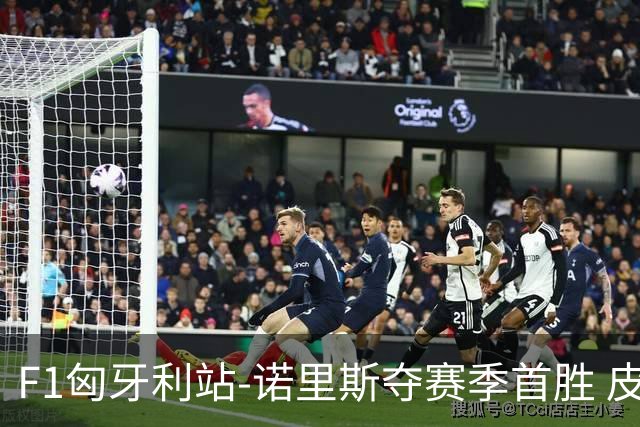 F1匈牙利站-诺里斯夺赛季首胜 皮亚斯特里退赛汉密尔顿被罚